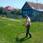 Кто должен косить за забором?
